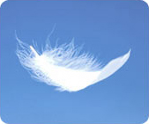 Pluma